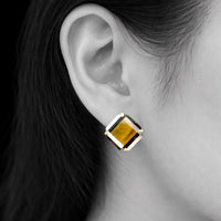 シグナピアス
