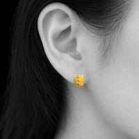 アルカイア ピアス