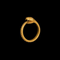 ウロボロスリング