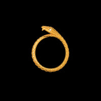 ウロボロスリング