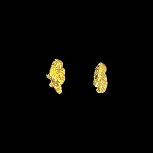 金のかけらピアス(藻)