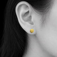 ヘキサピアス　
