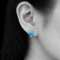 蒼の記憶 ピアス
