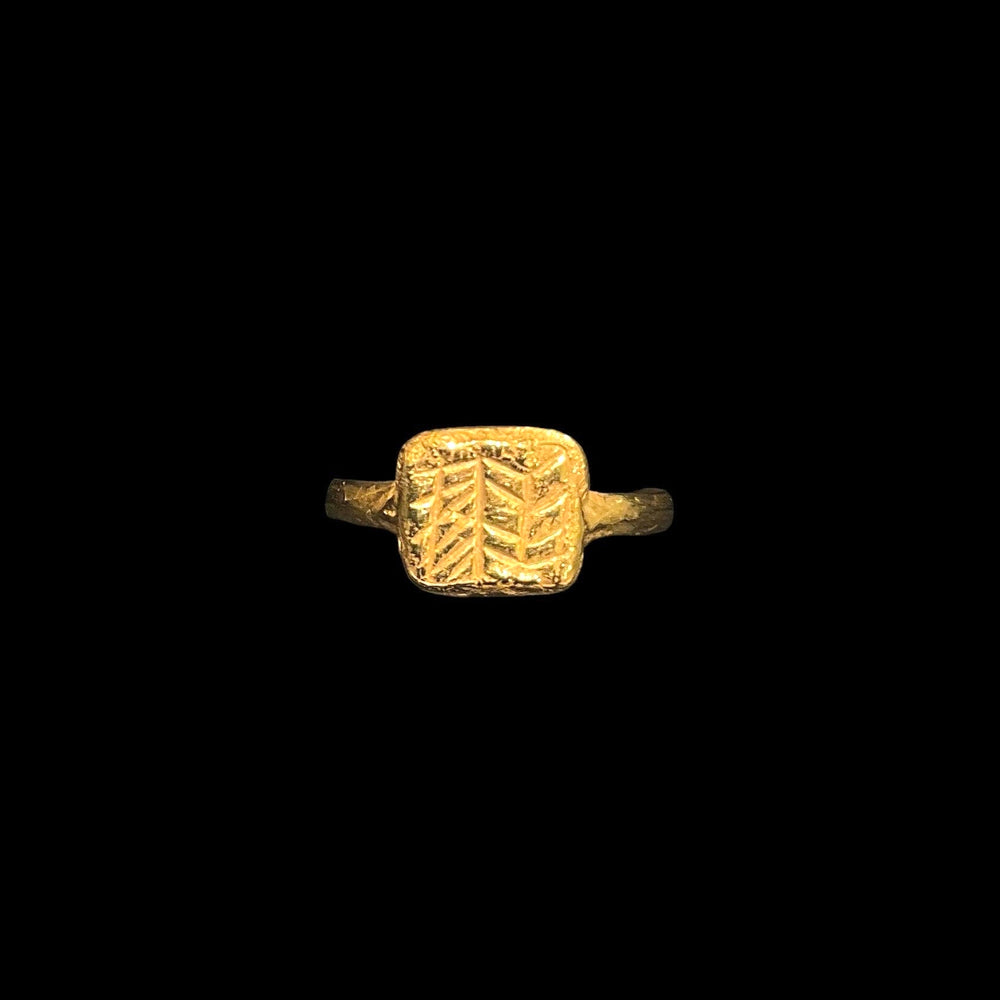 古代林のリング