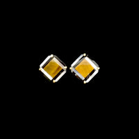 シグナピアス　
