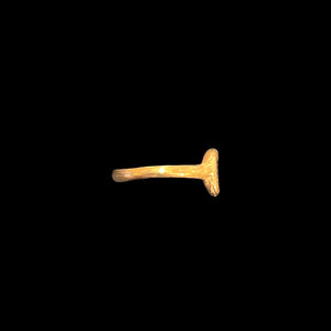 古代林のリング