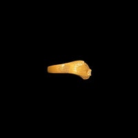 光る目の猫のリング