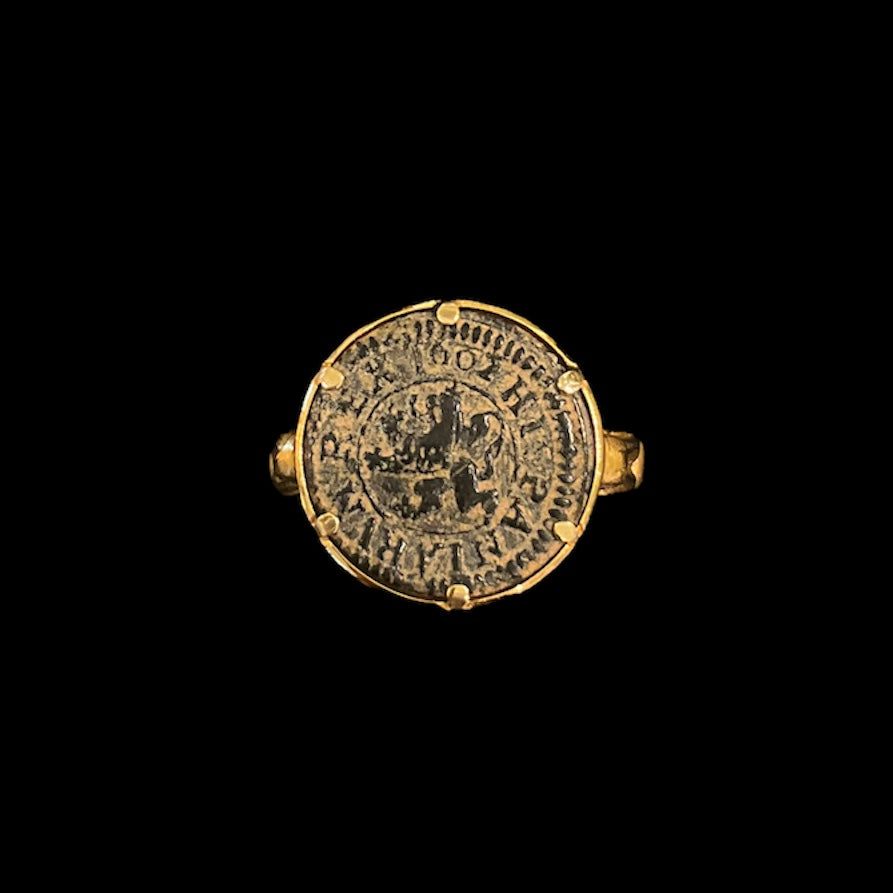 鴨アームコインリング | ばすらばすら